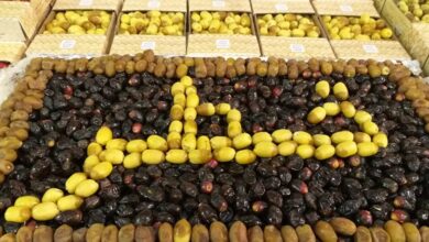 Photo of 6th Fresh Local Dates Festival 2021 at Souq Waqif ends on July 30