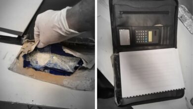 Photo of Customs in Qatar seizes illegal narcotics during an inspection