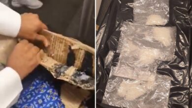 Qatar customs foils an attempt to smuggle shabu to the country