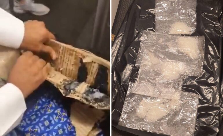 Qatar customs foils an attempt to smuggle shabu to the country