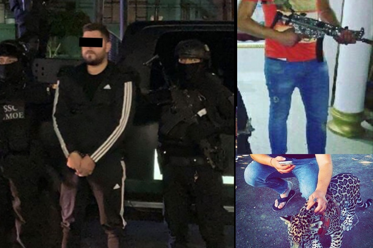 PHOTOS: El Alemán, the narco who posed with exotic animals and weapons;  This is how he was exhibited in networks before ordering the killing of a businessman