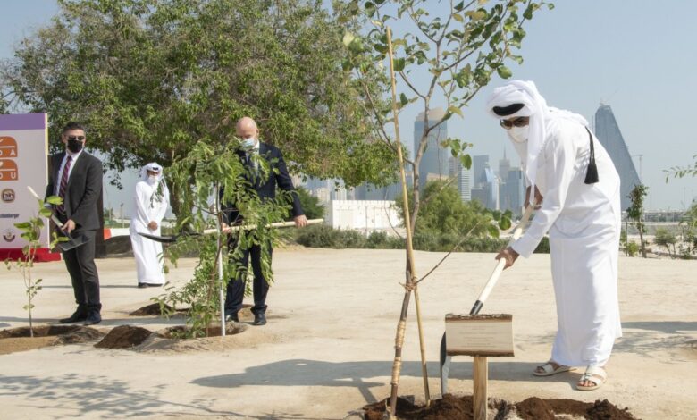 Amir plants a Sidra tree at the Children's Museum garden's inauguration