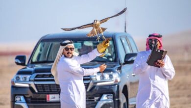 Photo of A total of 20 falcons qualified in Al Daw Al Mahalli championships